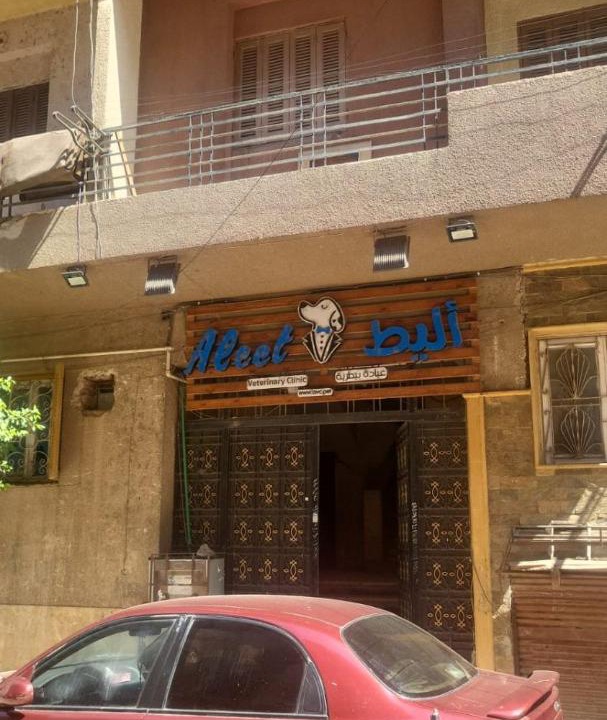 Photo of Others in Tanta