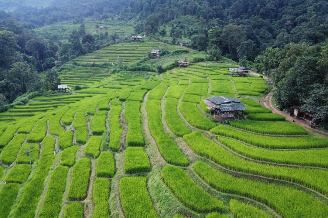 Photo of Others in Samoeng