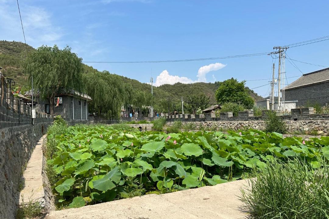 Photo of Others in Miyun District