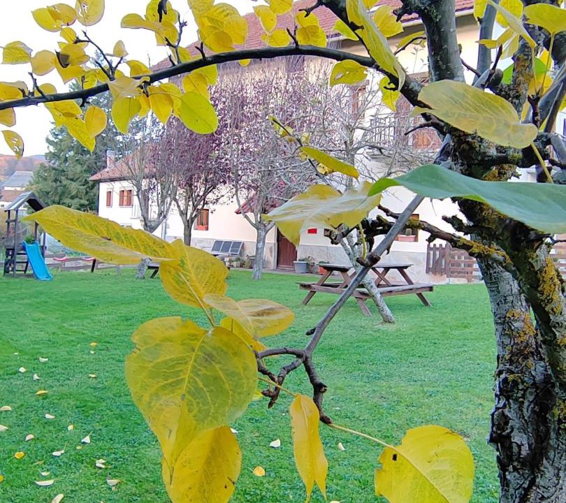 Photo of Outdoor in Aurizberri