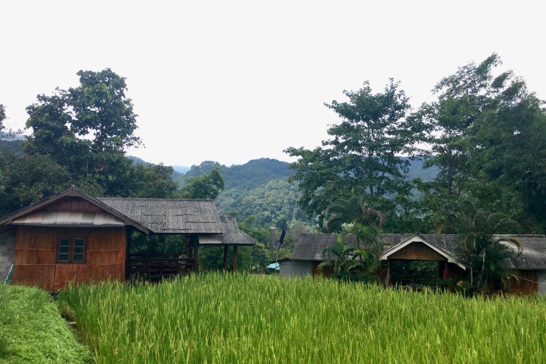 Photo of Buildings in Ban Luang