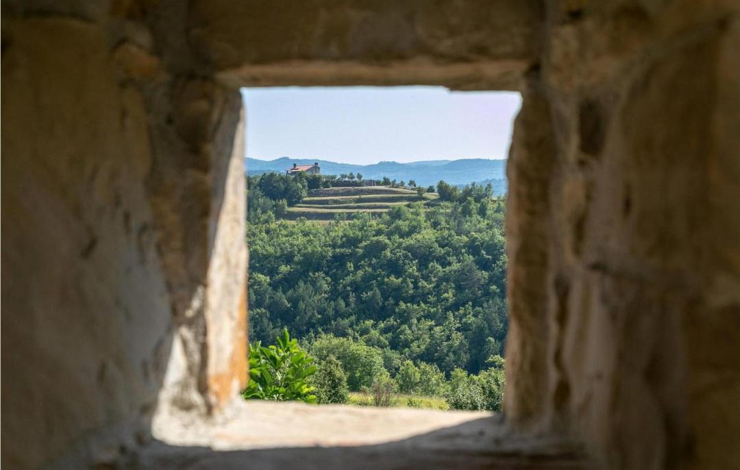 Photo of Others in Sovinjska Brda