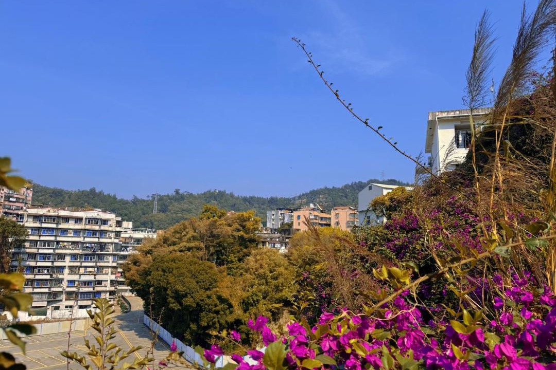 Photo of Others in Siming