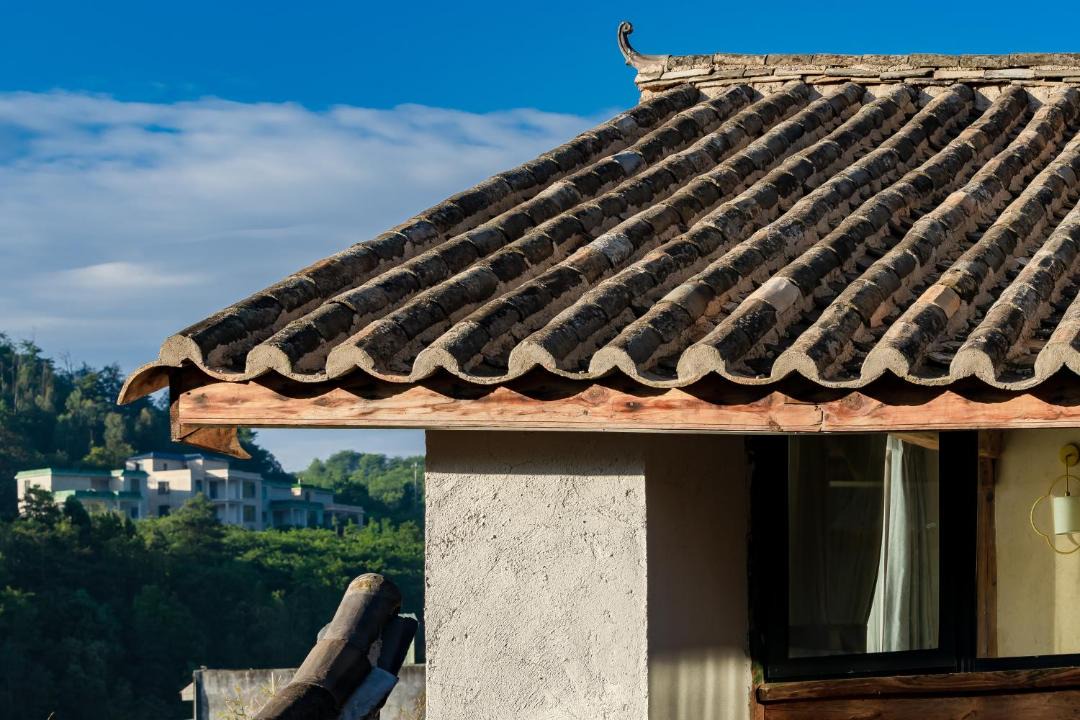 Photo of Others in Guandu