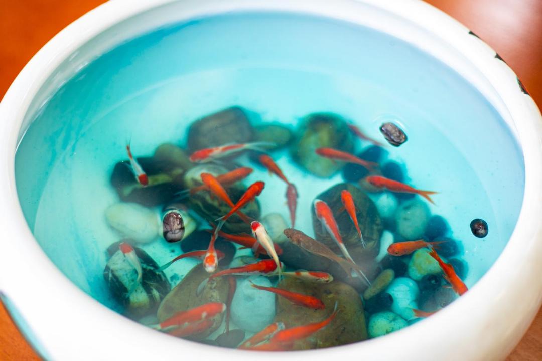Photo of Others in Putuo