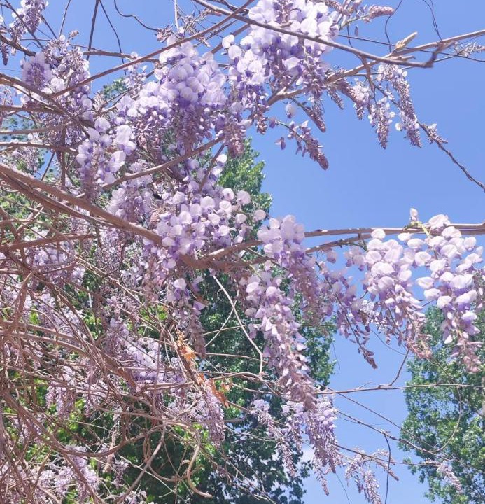 Photo of Outdoor in Huairou