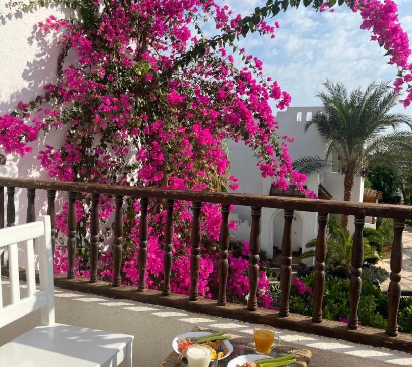 Photo of Patio Balcony in El Hadaba