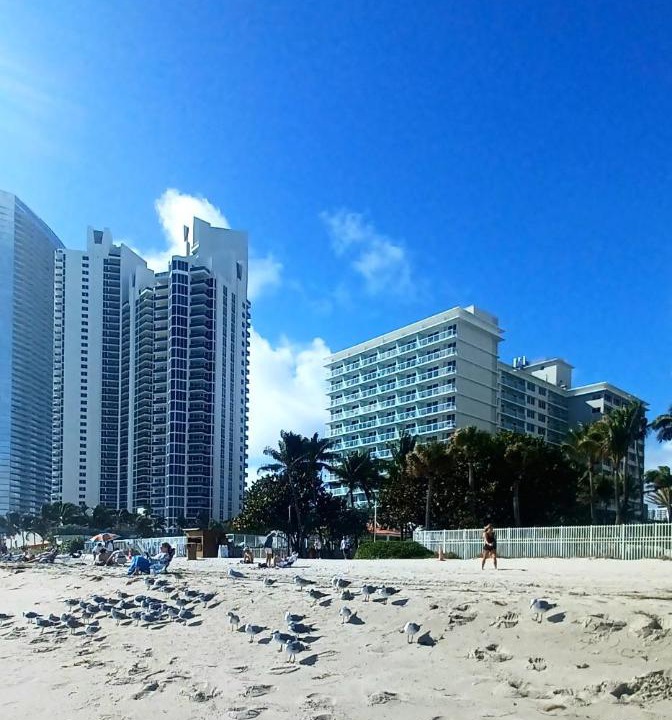 Photo of Buildings in Sunny Isles Beach