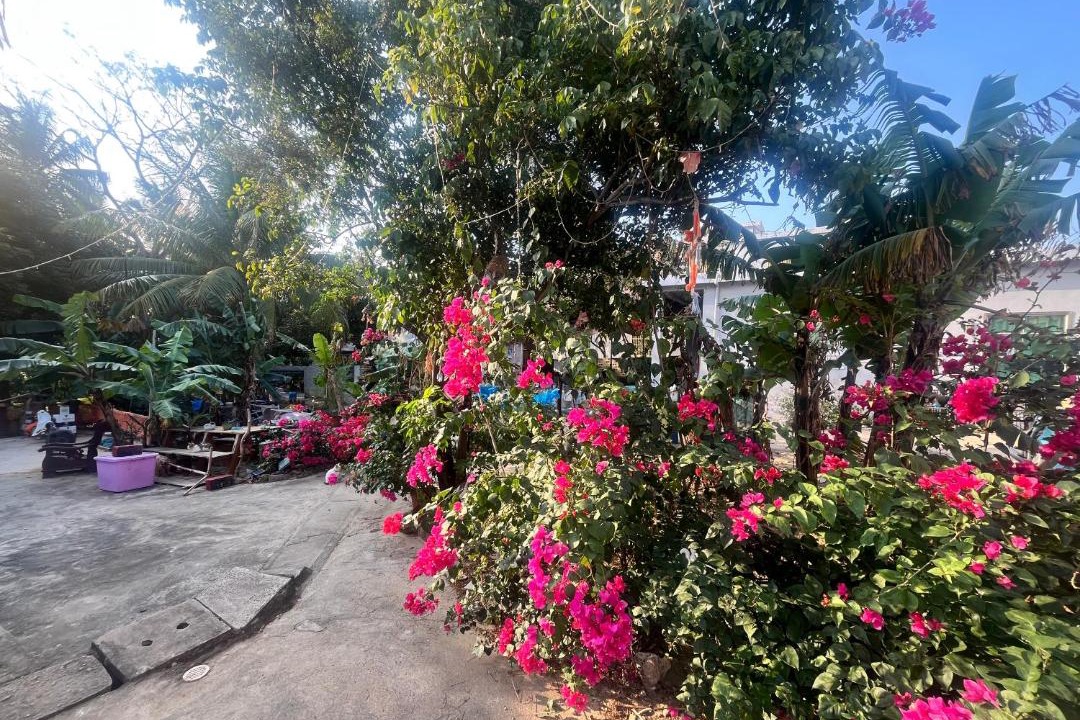 Photo of Outdoor in Wanning
