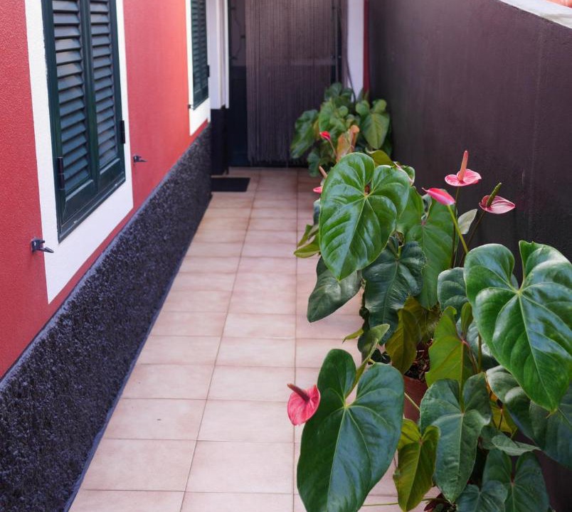 Photo of Patio Balcony in Faial