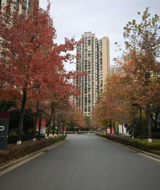 Photo of Others in Guilin City Centre