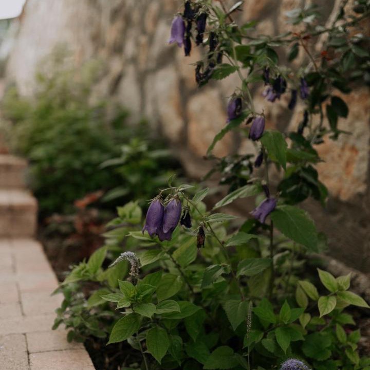 Photo of Outdoor in Boly