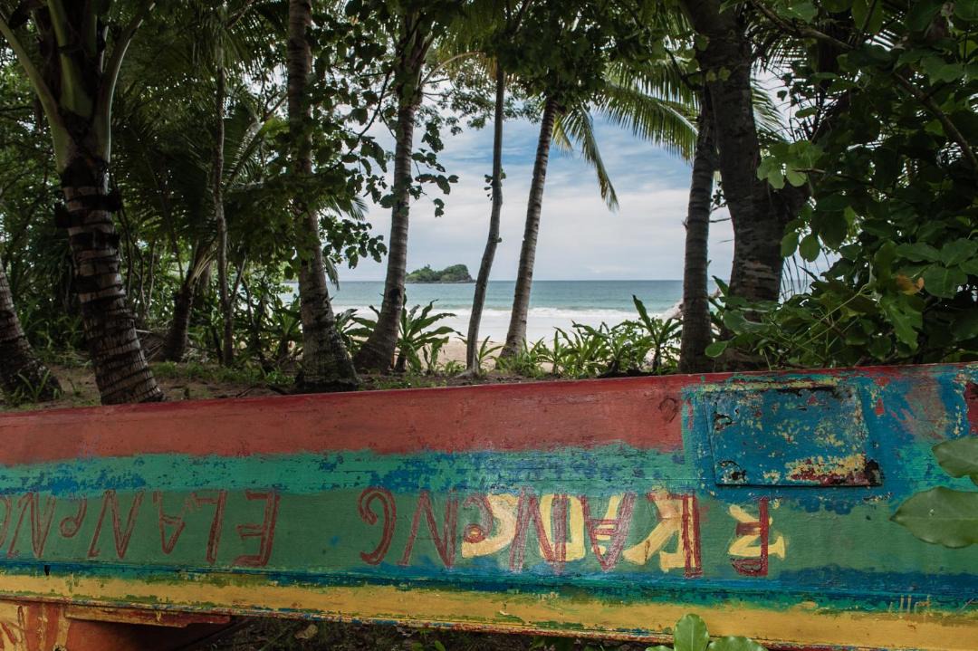 Photo of Others in Puerto Princesa