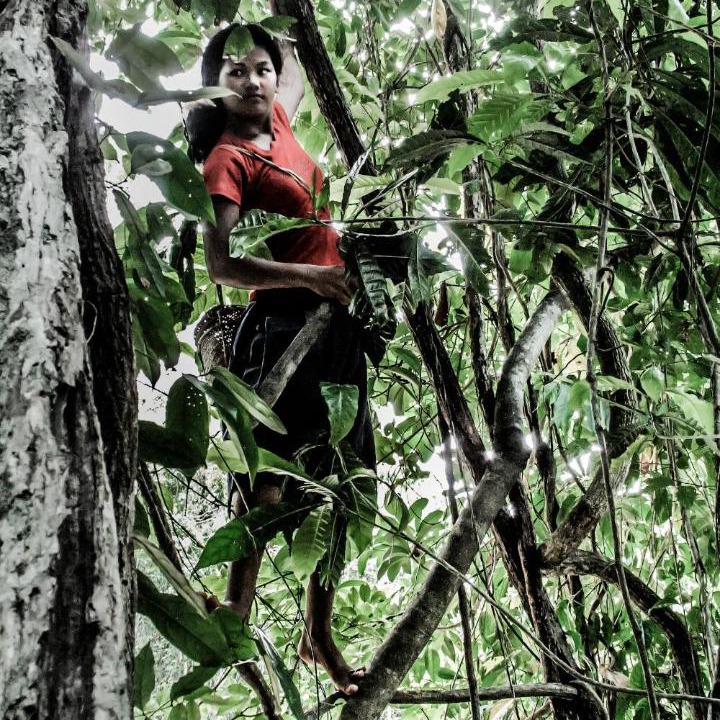 Photo of Others in Puerto Princesa