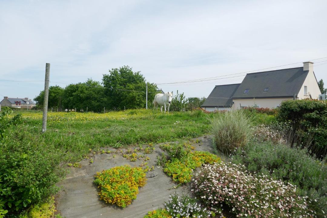 Photo of Others in Morieux