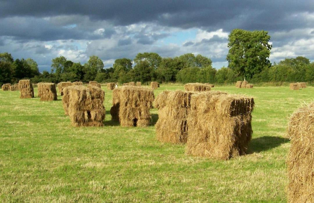 Photo of Buildings in Ashbourne