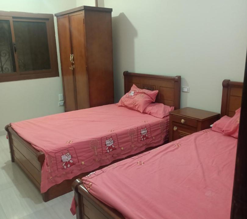 Photo of Bedroom in Mansoura