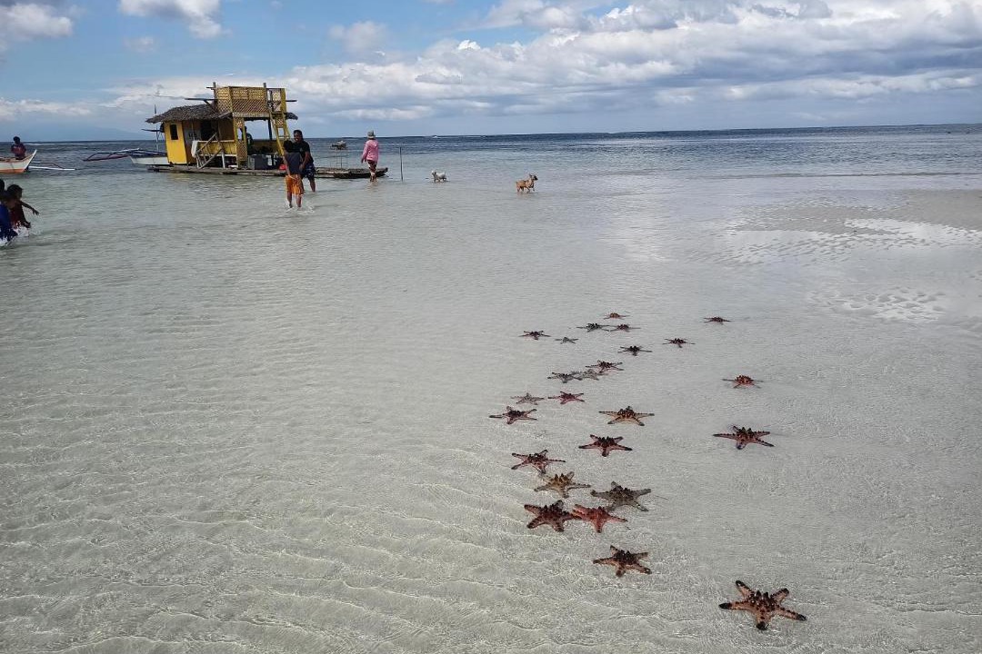 Photo of Others in Calatagan