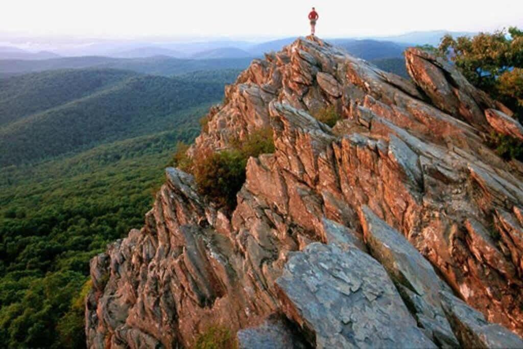 Photo of Others in Afton