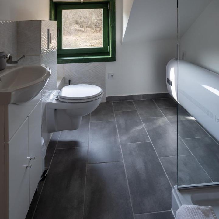 Photo of Bathroom in Demjen