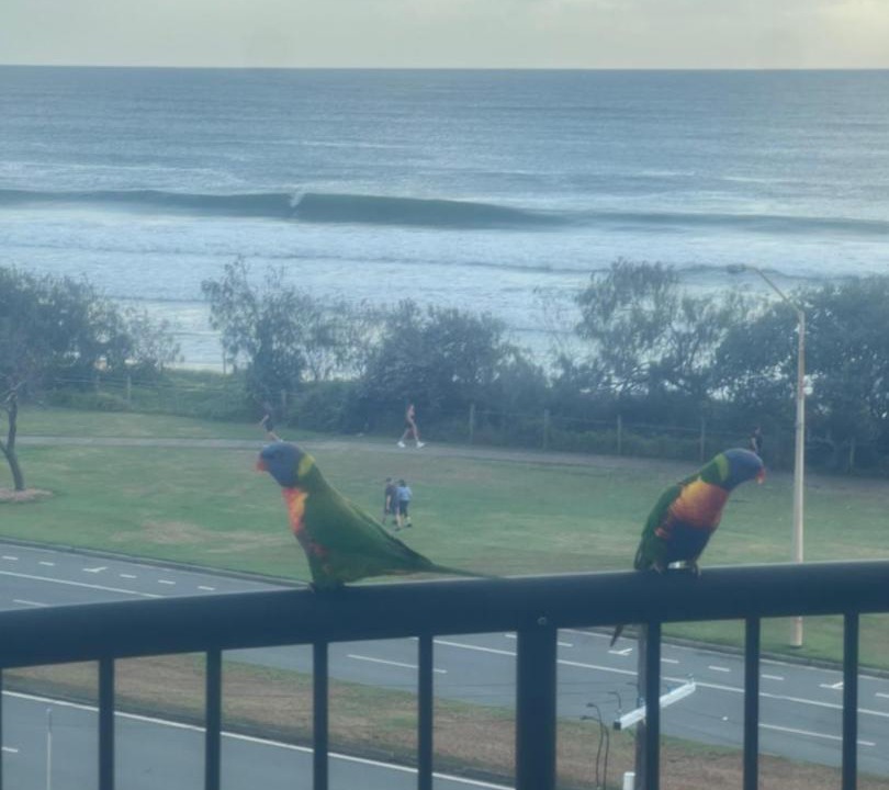 Photo of Others in Alexandra Headland