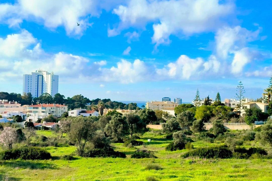 Photo of Others in Alvor