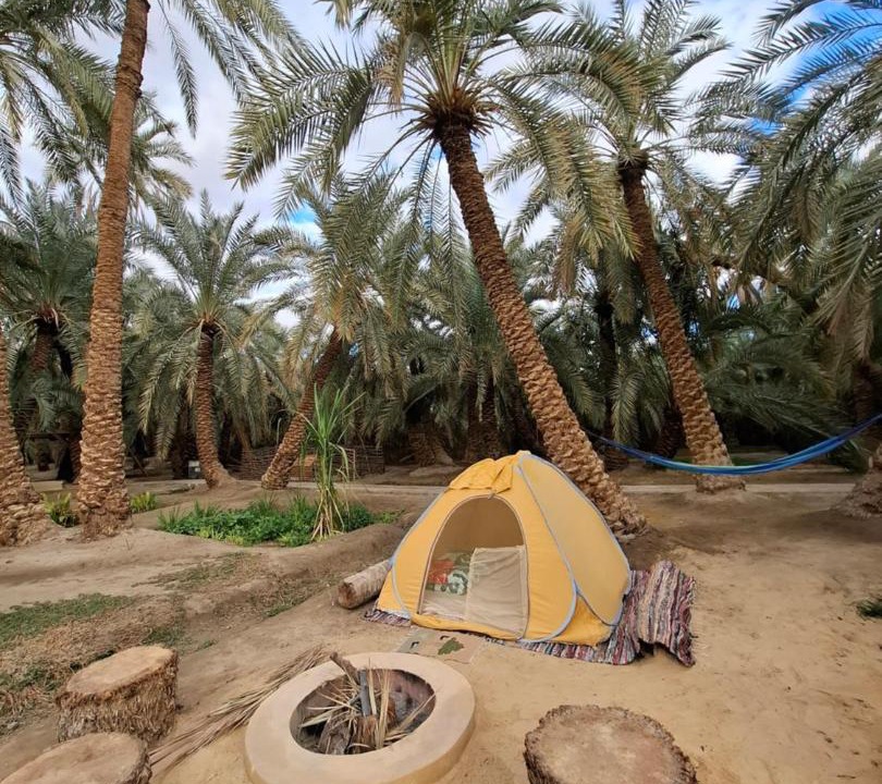 Photo of Others in Siwa