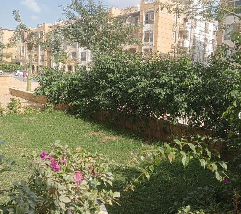 Photo of Others in The 5th Settlement