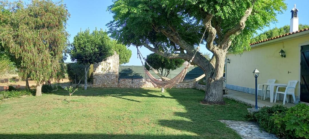 Photo of Others in Alfarrobeira