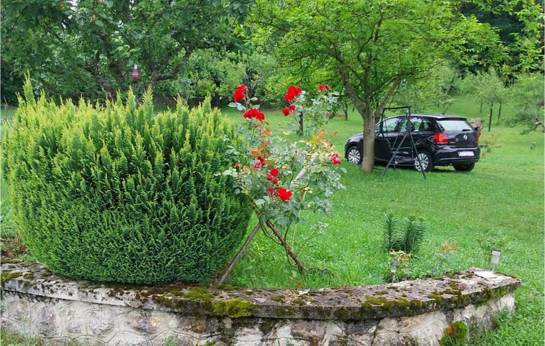 Photo of Outdoor in Gracac