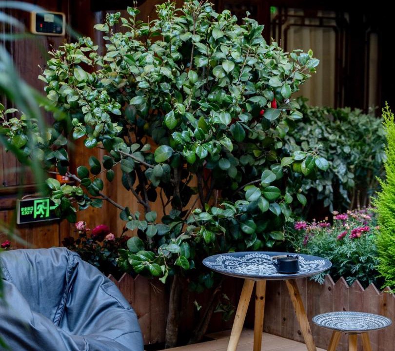 Photo of Others in Dayan Old Town