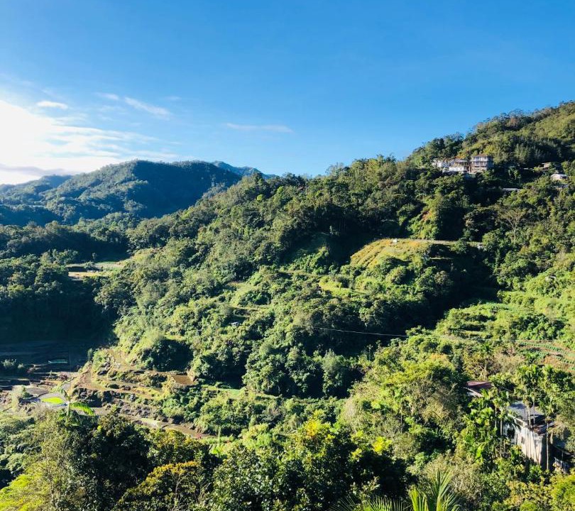 Photo of Others in Banaue
