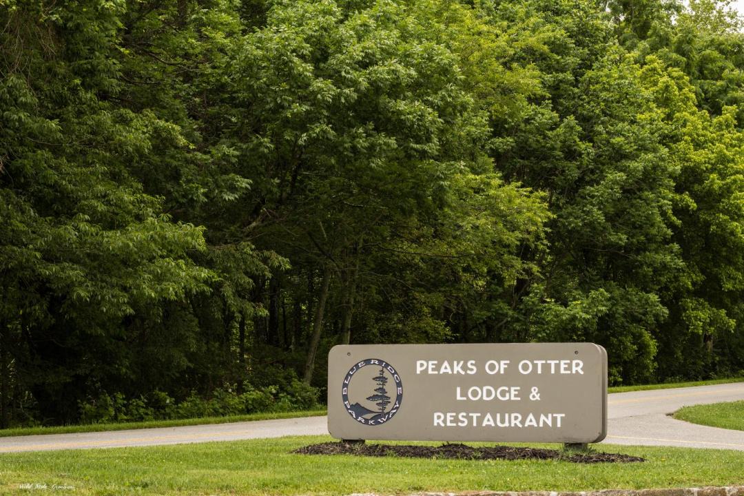 Photo of Others in Peaks