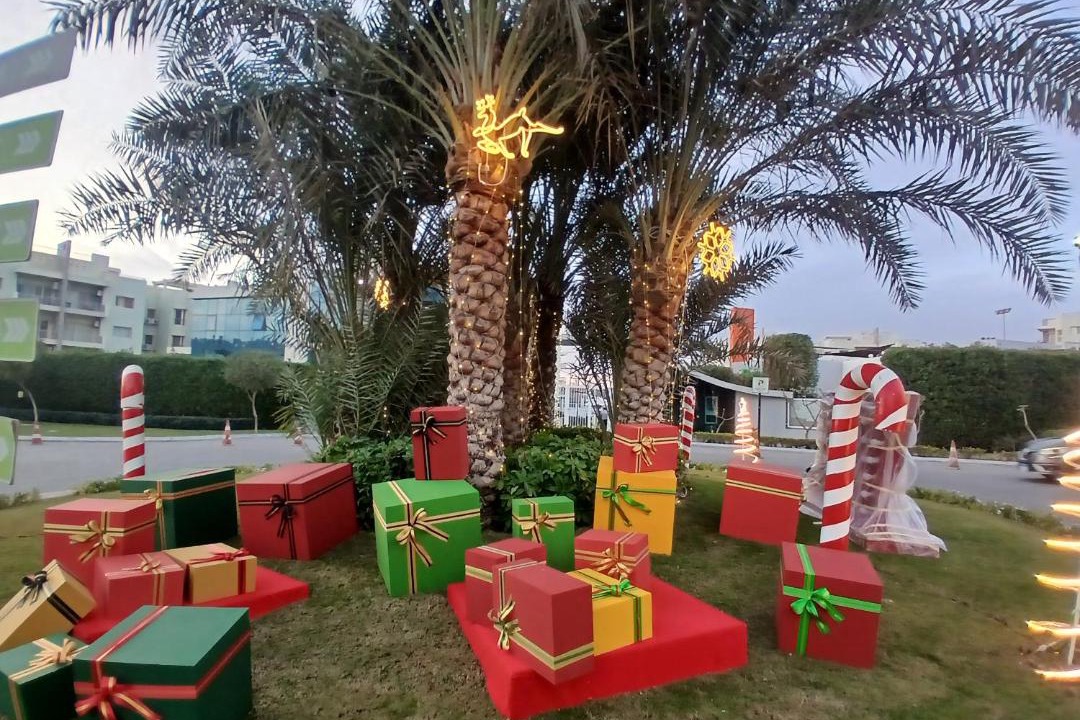 Photo of Others in Sheikh Zayed City