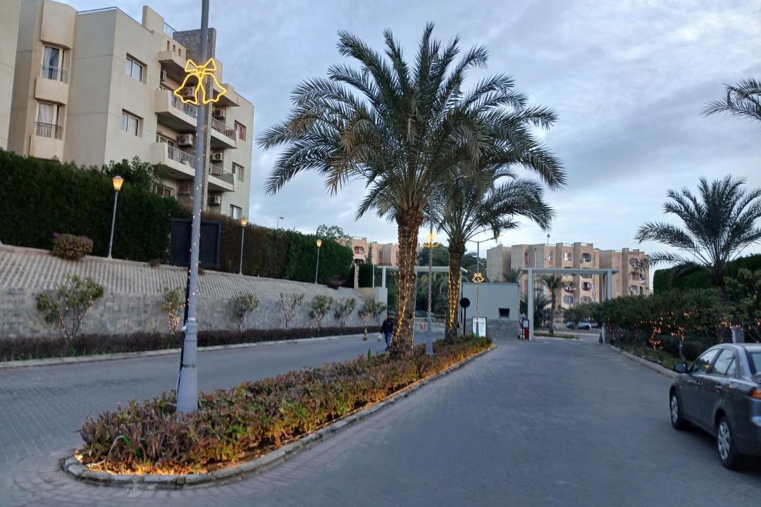Photo of Others in Sheikh Zayed City