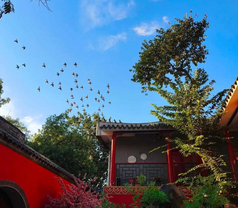 Photo of Others in Dongcheng