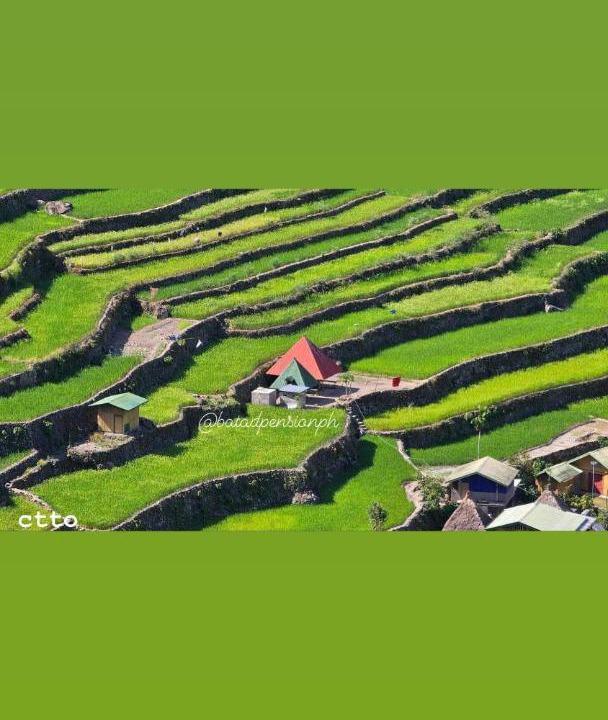 Photo of Others in Batad