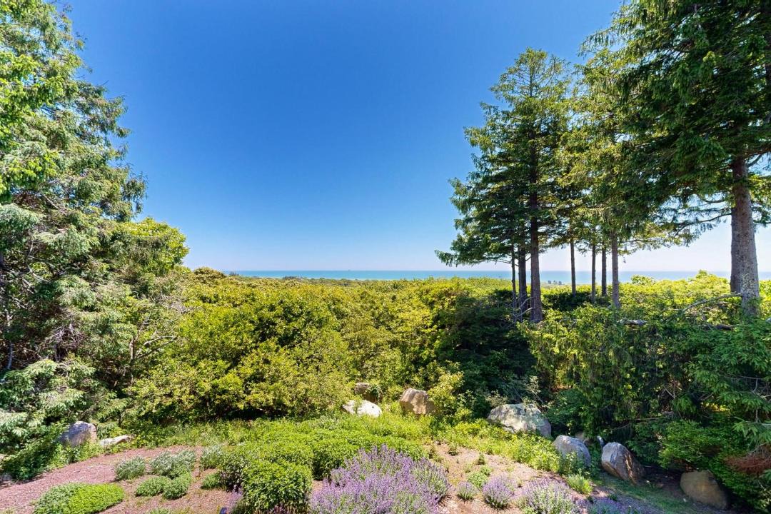 Photo of Others in Chilmark