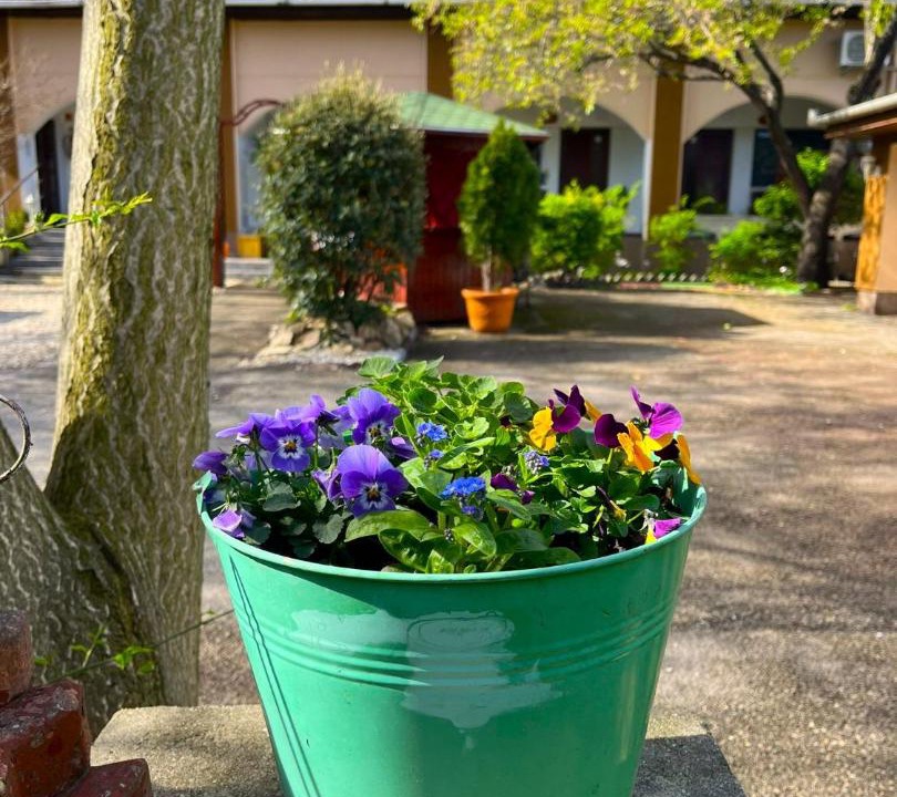 Photo of Outdoor in Erzsebetfalva