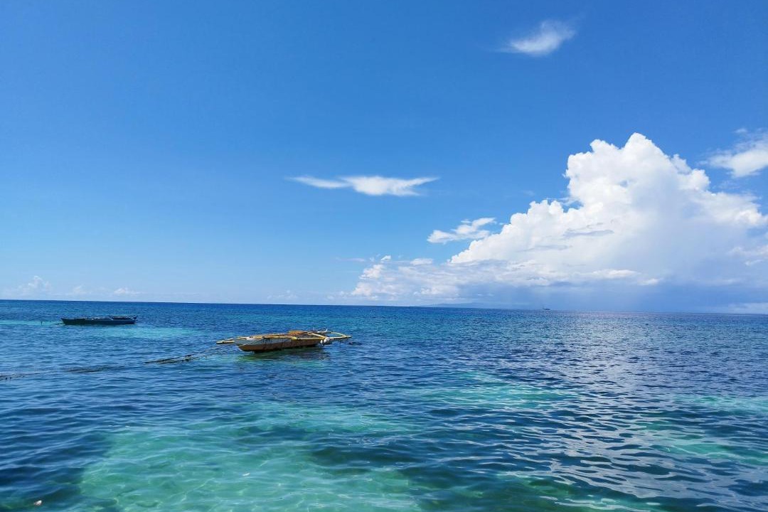 Photo of Others in Oslob