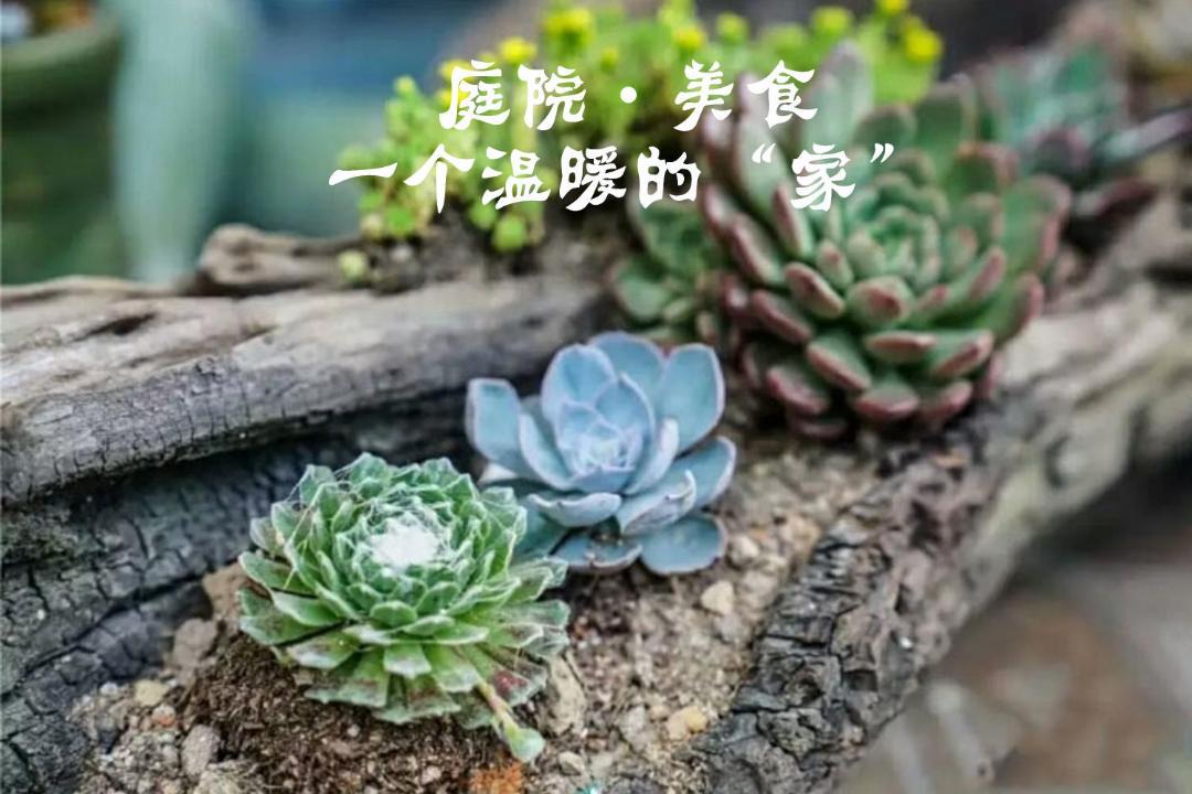 Photo of Outdoor in Chenzhou