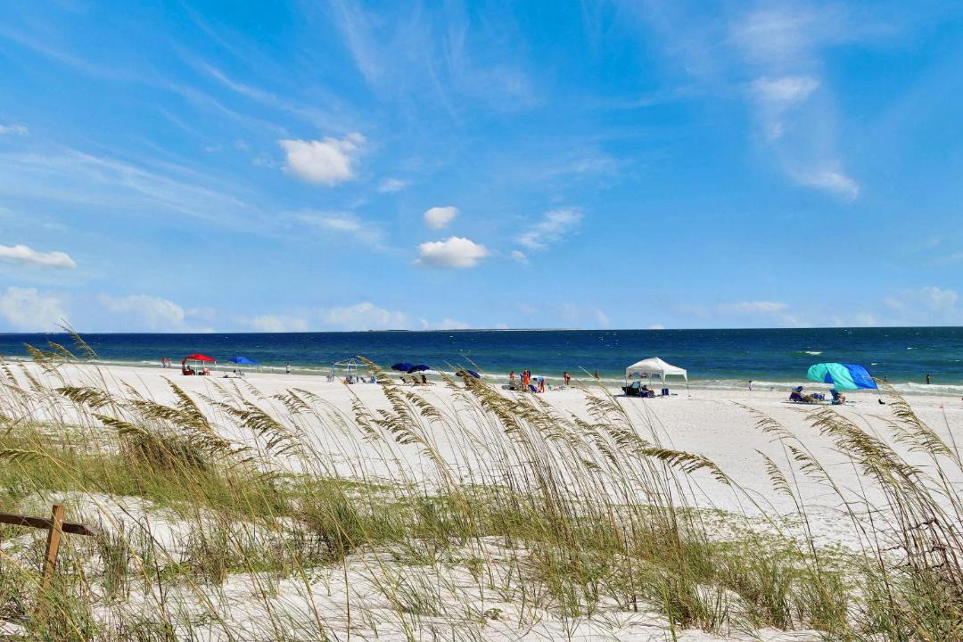 Photo of Outdoor in Mexico Beach