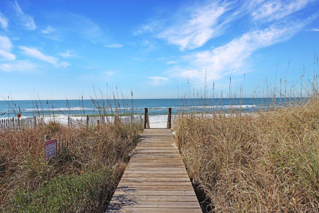 Photo of Others in Cape San Blas
