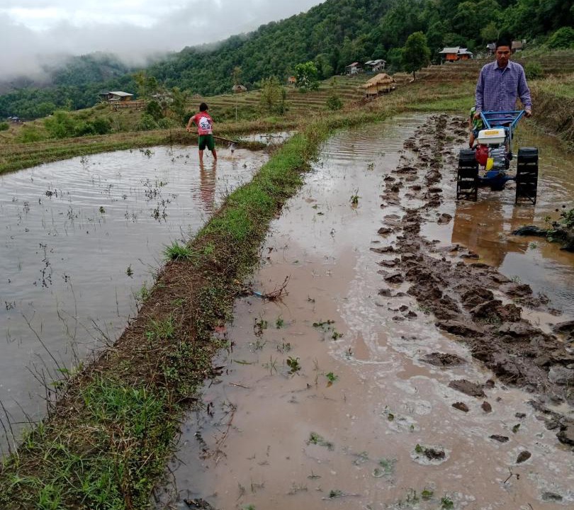 Photo of Others in Mae Chaem