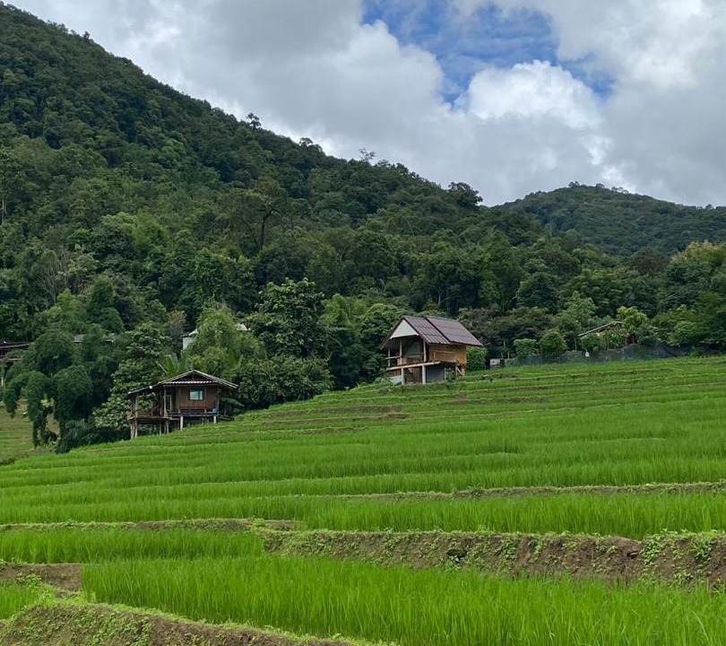 Photo of Others in Mae Chaem