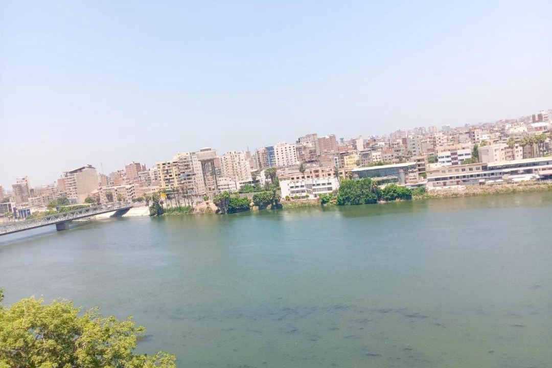 Photo of Others in Mansoura