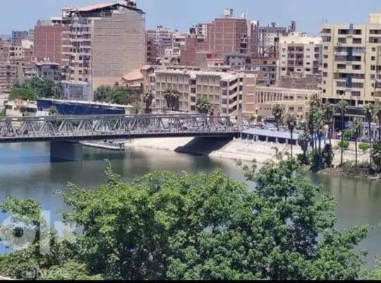 Photo of Others in Mansoura