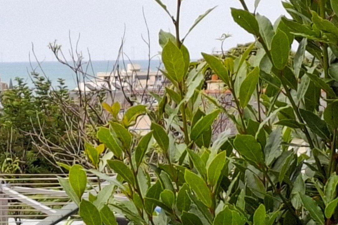 Photo of Others in Saint-Quay-Portrieux