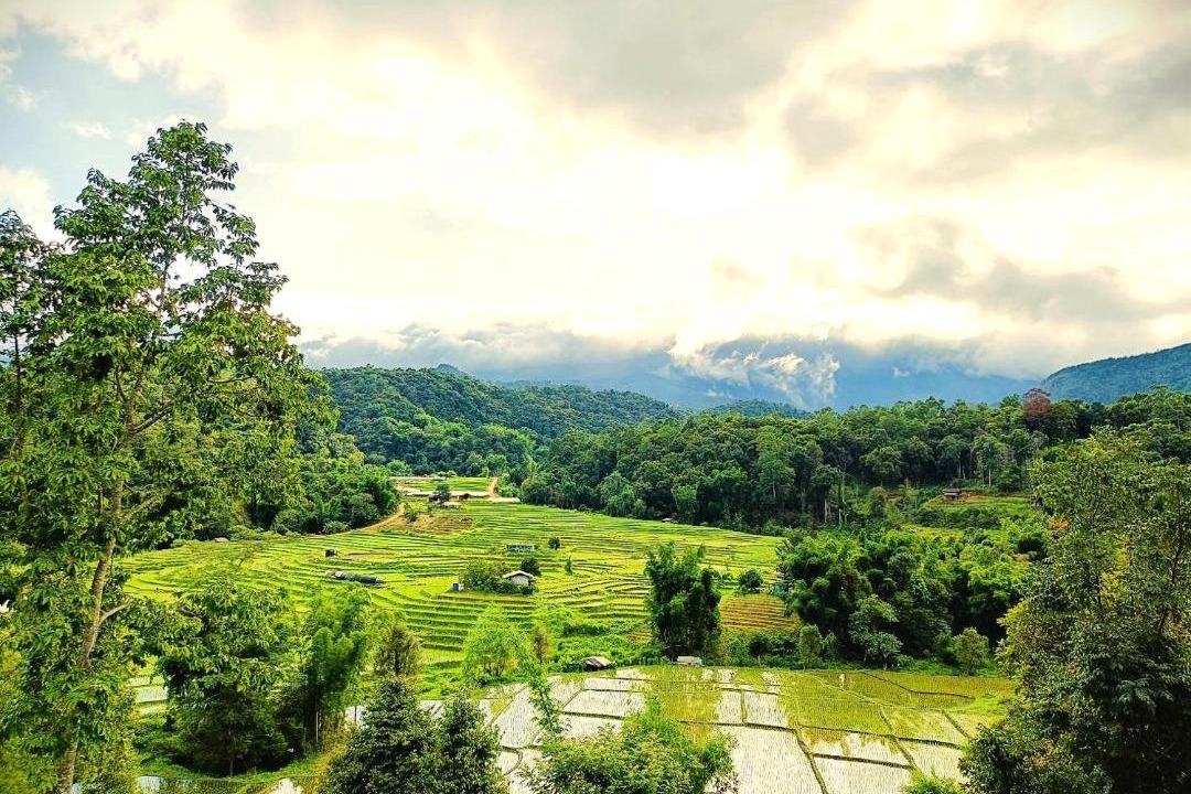 Photo of Others in Doi Lo