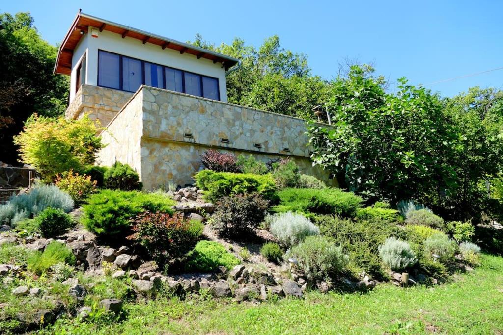 Photo of Buildings in Nagymaros